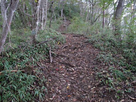 20181016hike (112)